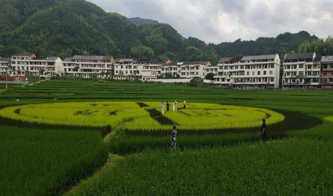 南浦溪镇箬阳村司前镇大住村2020年度泰顺县全年累计创成景区村庄38