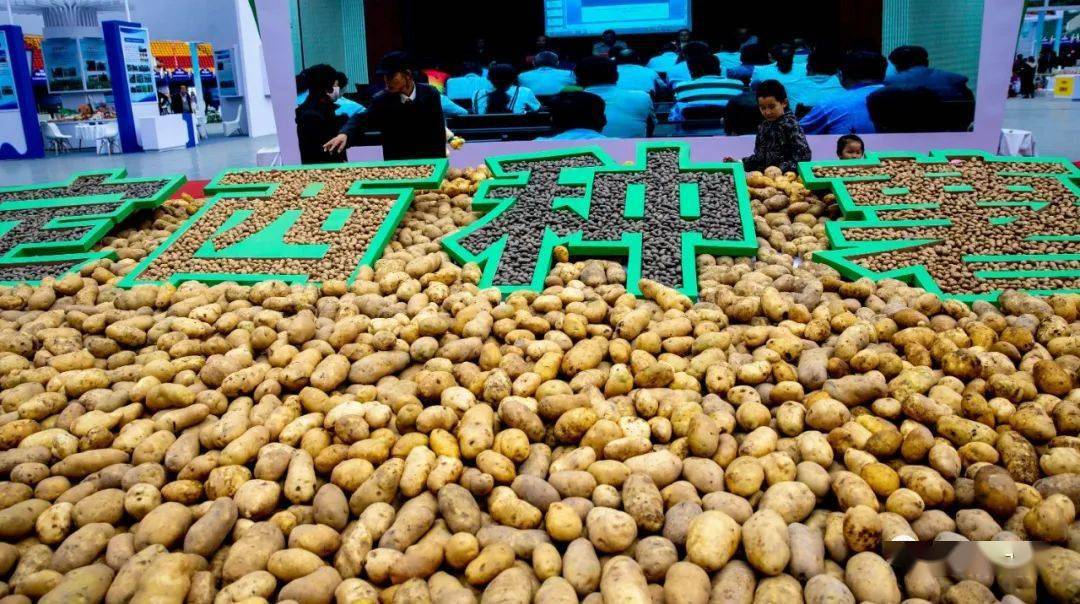 定西市马铃薯原原种年生产能力达到12亿粒