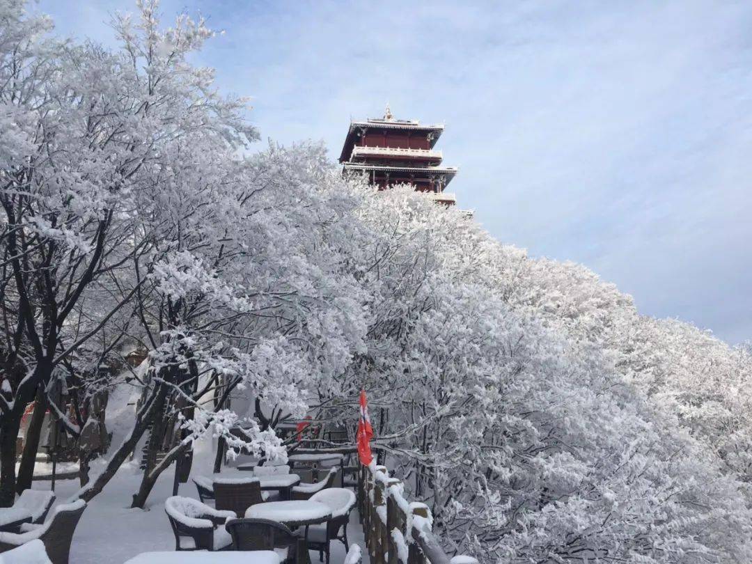 走,玩雪去,今天王屋山雪景又刷屏!_济源