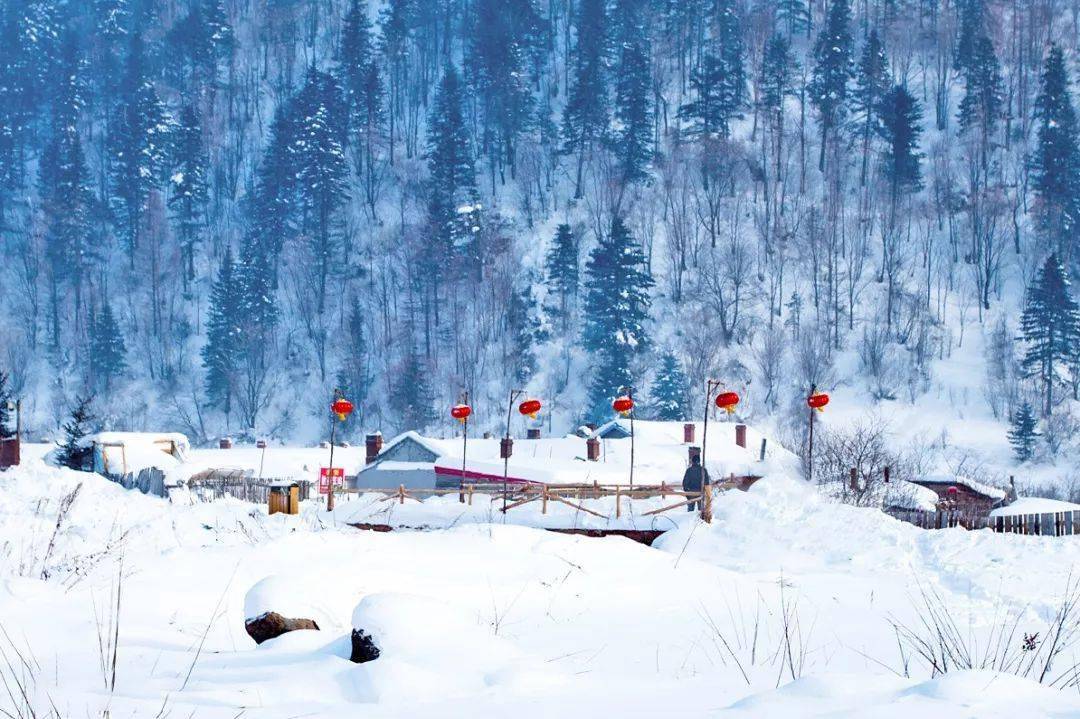 穿越林海雪原,偶遇雪乡,滑雪,泡温泉.