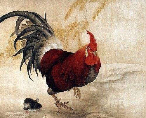 1993年属鸡的子时出生怎么样?