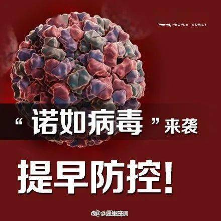 幼儿园|南宁一幼儿园放假！这种病毒进入高发季【930新闻眼】孩子集体发生呕吐