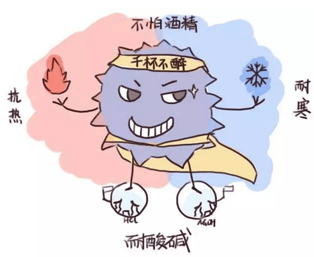 【卫生保健】诺如病毒防控知识及温馨提示