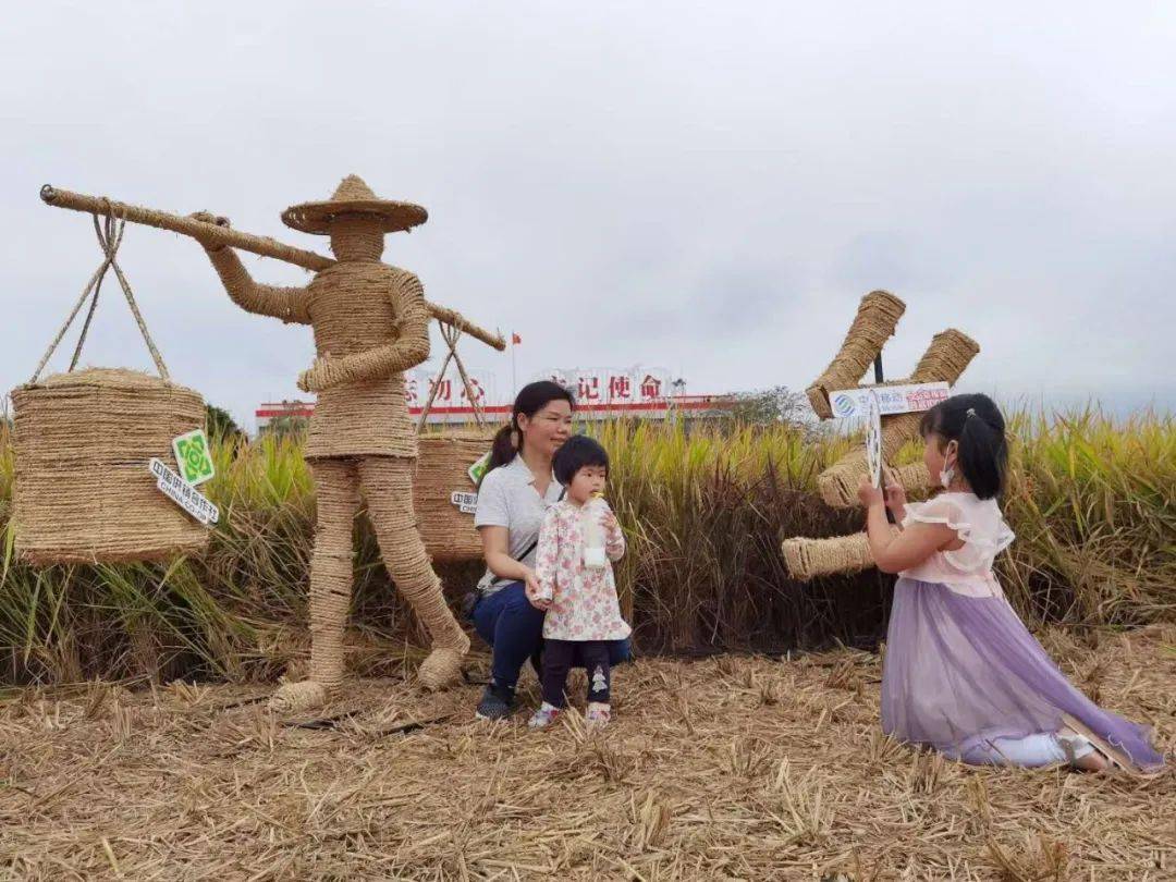 稻田拓展,田间趣味运动会等收割体验,房车露营体验,网红灯光造型打卡