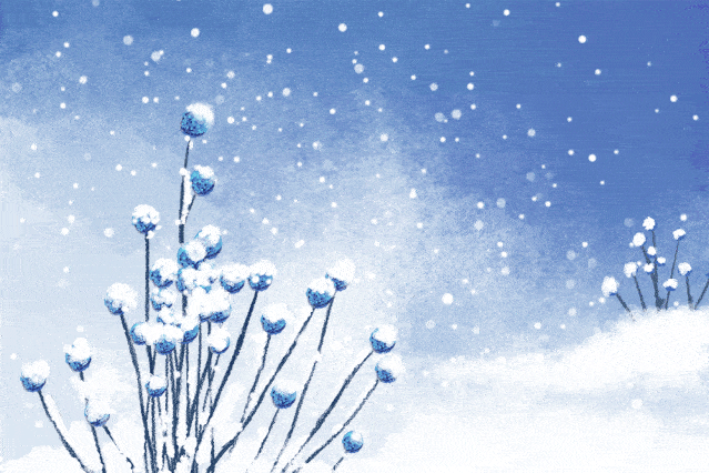 明日小雪 | 冬天,你好!