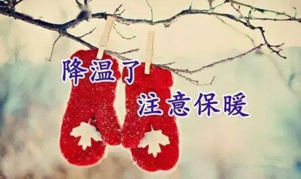 晚上的祝福和牵挂 9b30dfdd9cd64576a5eb57b46f027873.jpeg