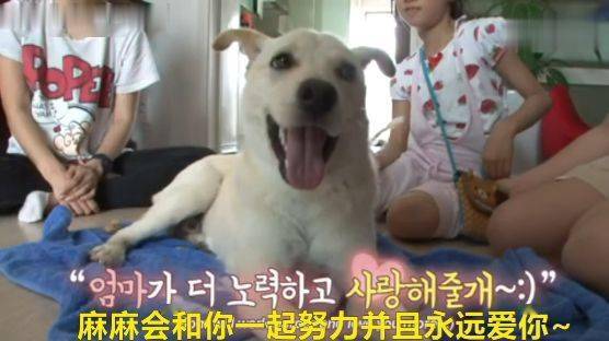 abfde737f6524637b24ec6fc101d7db2.jpeg