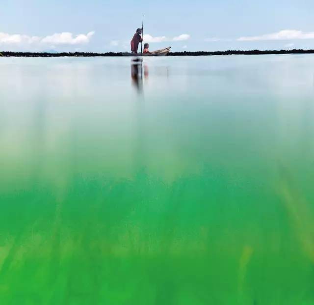 拍照如何拍得有生命力 d6b14794c2c444fca5cdf028f3e5d751.jpeg