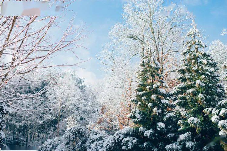 诗词|除了和孩子邂逅最美的诗词，家长还要注意这五件事今日小雪