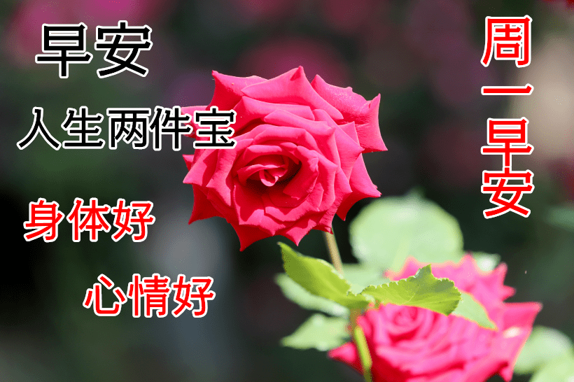 11月23日周一清晨早上好问候祝福动态表情图片 11月最新早安问候祝福