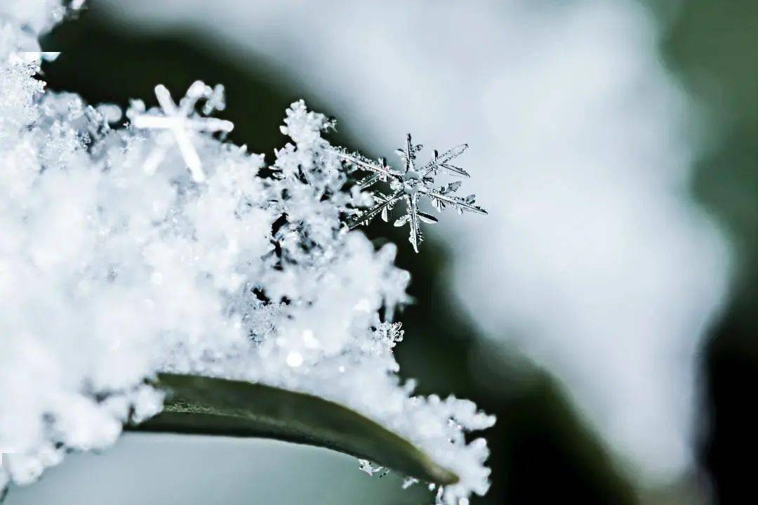 小雪| 久雨重阳后,清寒小雪前_天气