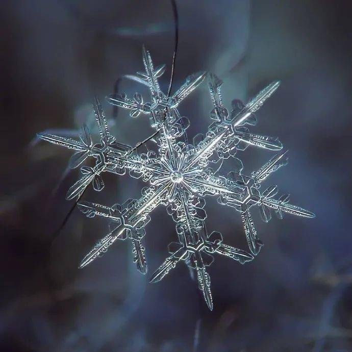 微距镜头下的雪花,这大概就是冬天里最美的花吧!