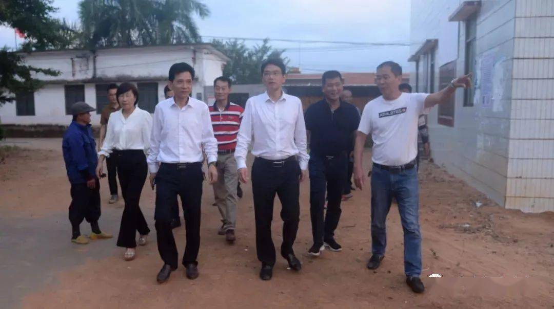 11月20日,雷州市委副书记,市长黄廉东率队深入唐家镇和杨家镇检查督导