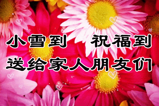 今日小雪,一首《飘雪的季节更想你》送给牵挂的你,天冷了,多加衣!