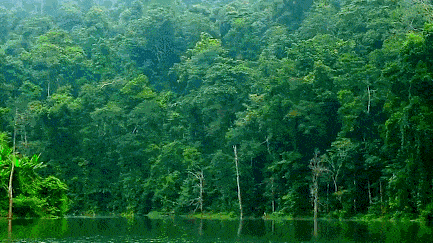 433_243gif 动态图 动图