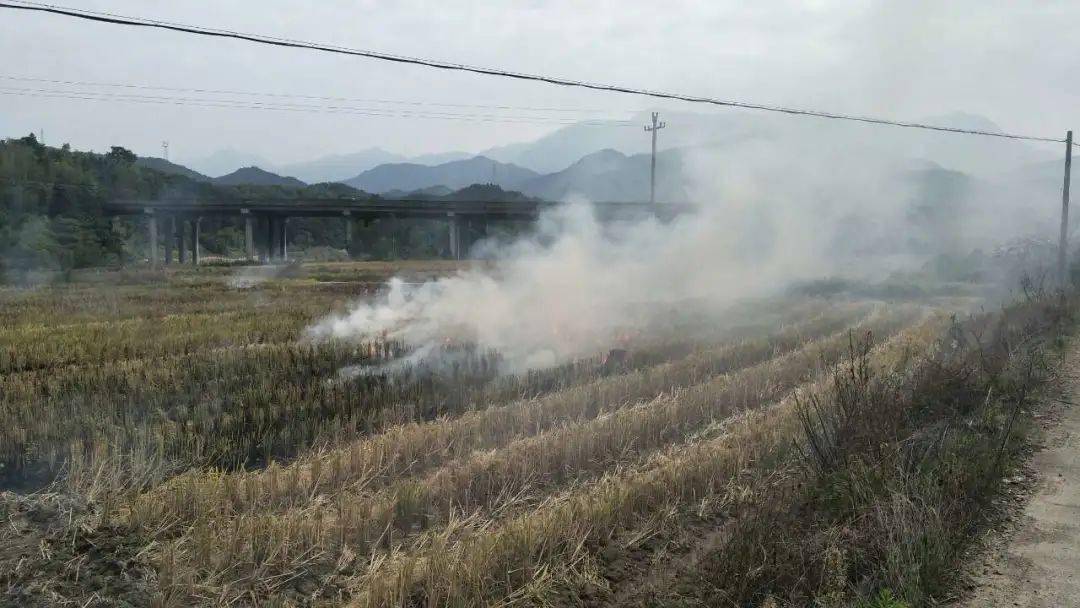 骆庄村人口(2)