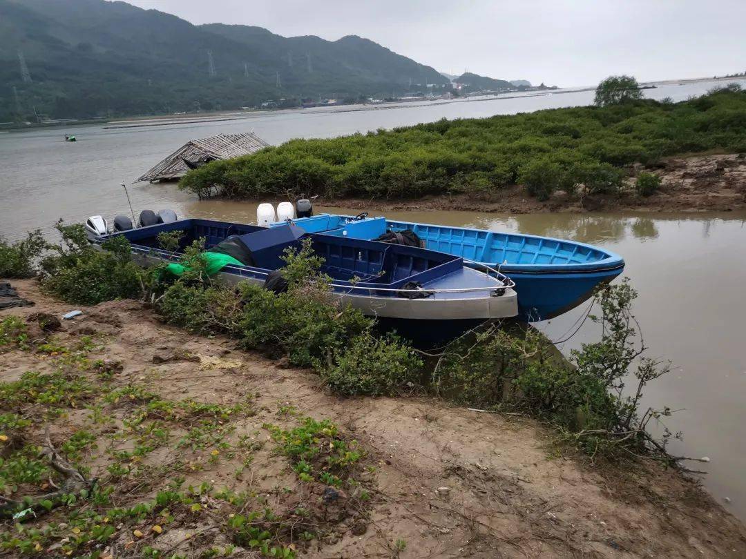 狼胎阳江竟有人用大飞走私