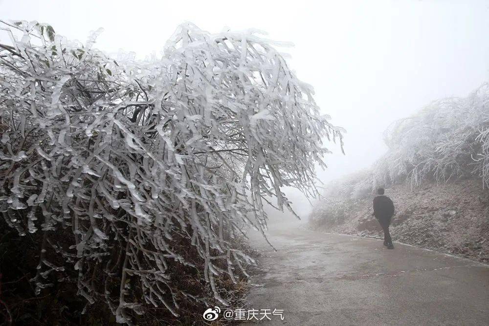 重庆马喇镇有多少人口_保田镇有多少人口