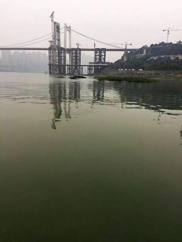 人口锥体_锥体束图片(3)