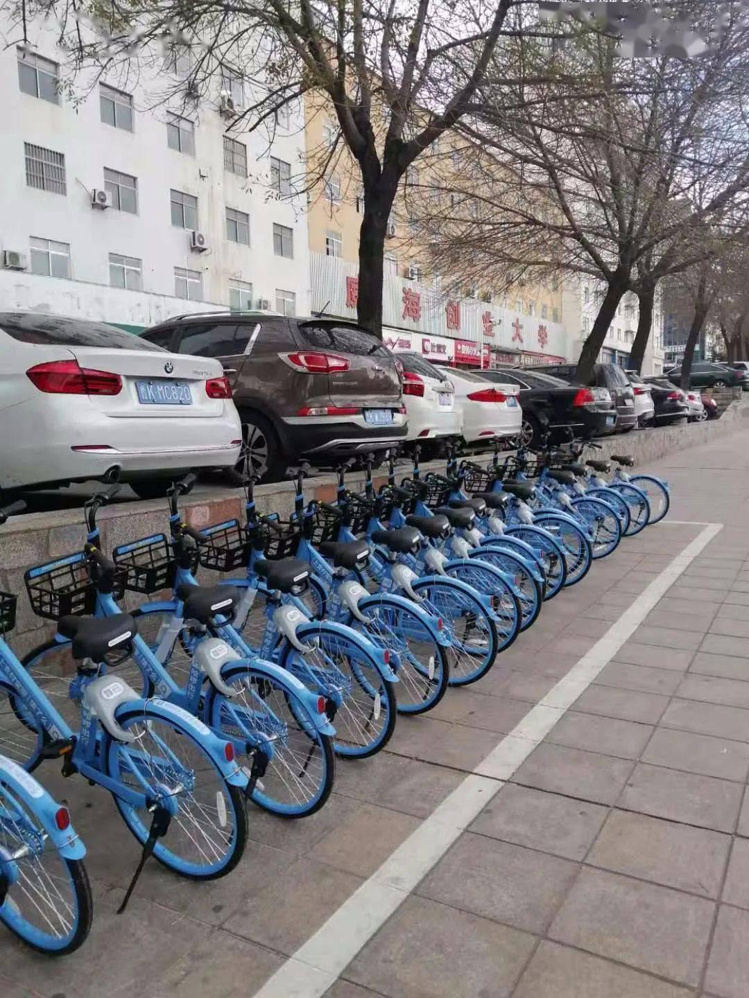 共享单车停车区域规范 df2127cb783b4436bf76731ab6c16ee2.jpeg