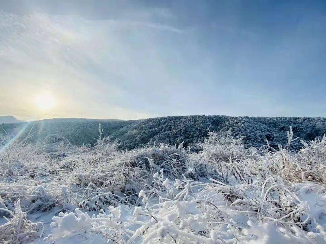 没看够昨天的雪?这些绝美的登封雪景图打包送给你