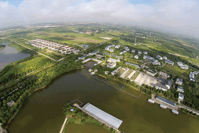 【99元畅玩上海野生动物园】2021上海畅玩季卡(冬季版)开售,火影忍者