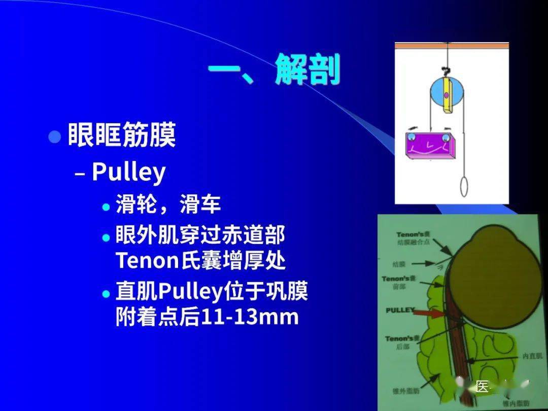 眼外肌解剖与运动生理