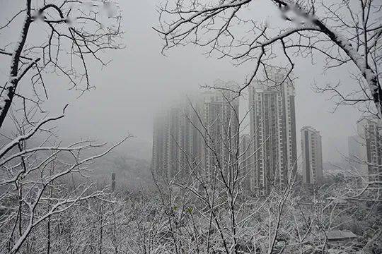 重庆入冬了吗什么时候下雪