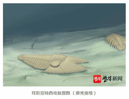 有关|南京古生物所专家将5亿年前三叶虫命名为“范特西虫” 真和周杰伦有关！