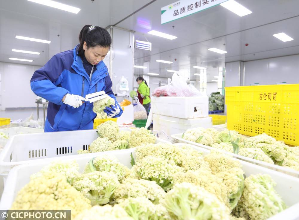 贵州遵义：农产品产供销一条龙确保食品安全