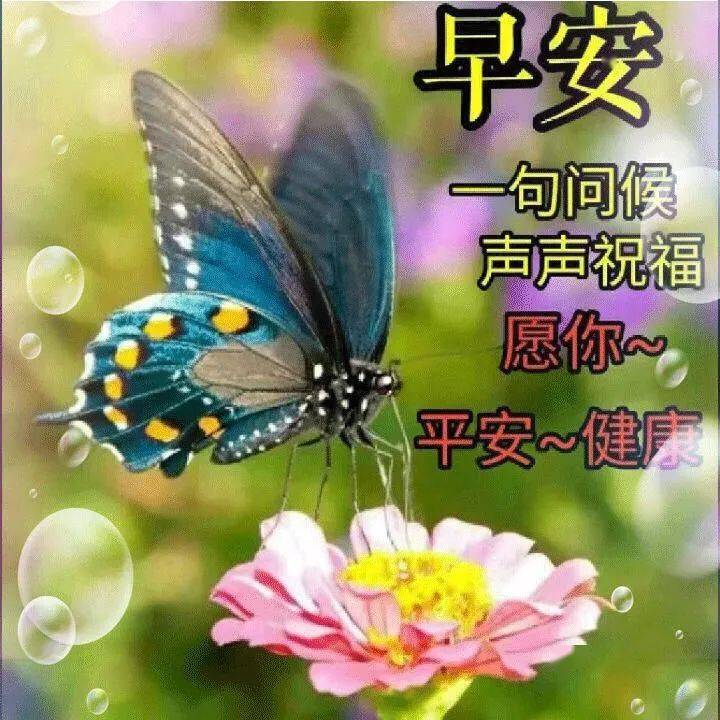 冬季问候朋友早上好!天冷了,注意身体!早上祝福语录大全