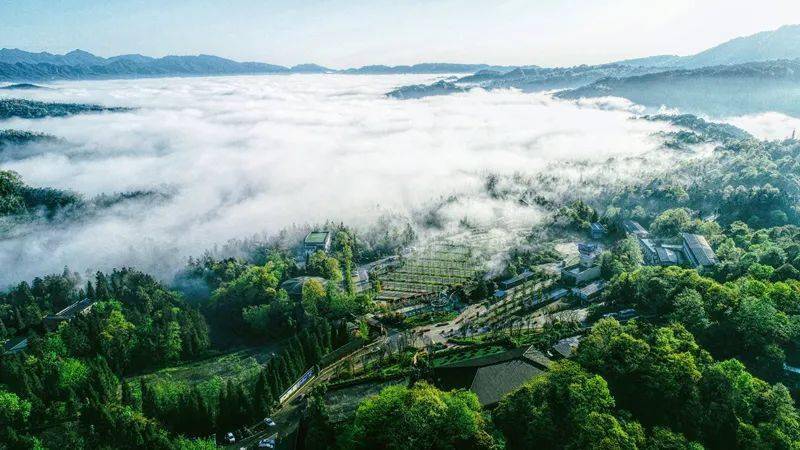 雨城区人口面积_雅安雨城区洪水图片