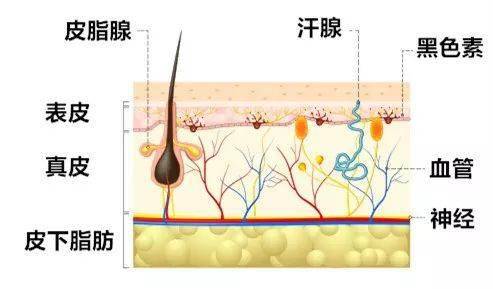 低温|【注意】使用“暖宝宝”会被烫伤吗？看完你就知道了