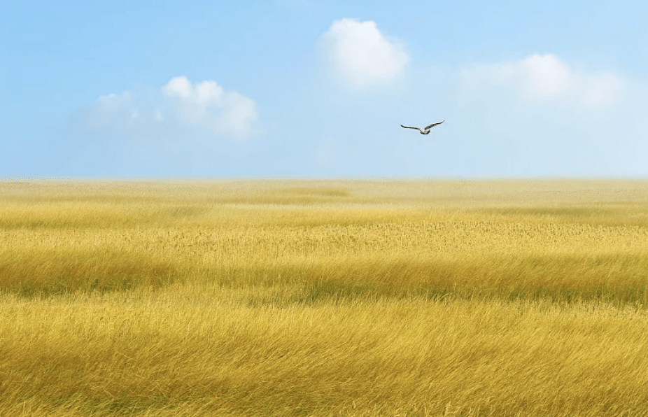 c67909c515604fe1be570cd82303d2eb.png