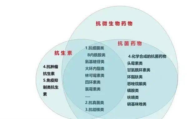 弥医小药师—提高抗微生物药物认识周_抗生素