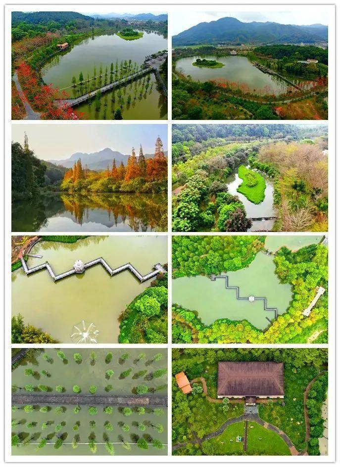 2020年清远市第二季G_清远市第二中学图片