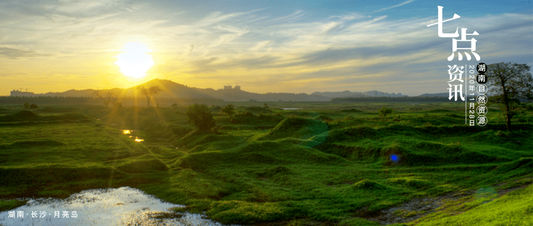 东盟各国GDP2020_东盟各国国旗