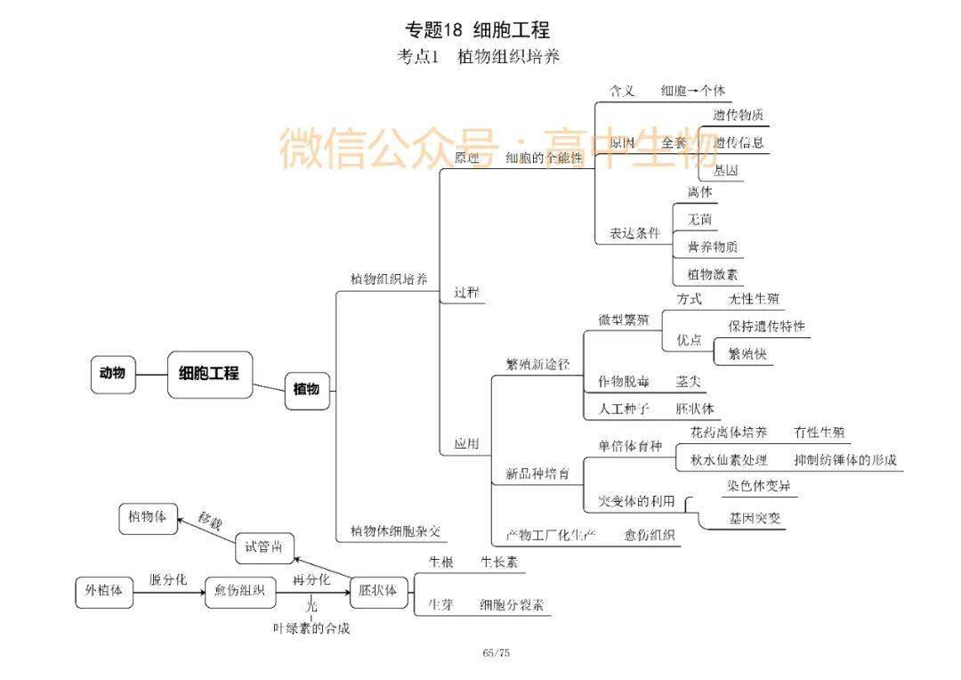 【学霸脑图】高考生物选修一,选修三知识框架汇总!附电子版