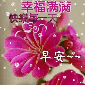 不用打字就可以聊天的图片