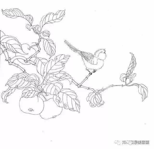 2020-11-29 12:03 白描基本概念 白描是传统绘画的表现技法之一,是