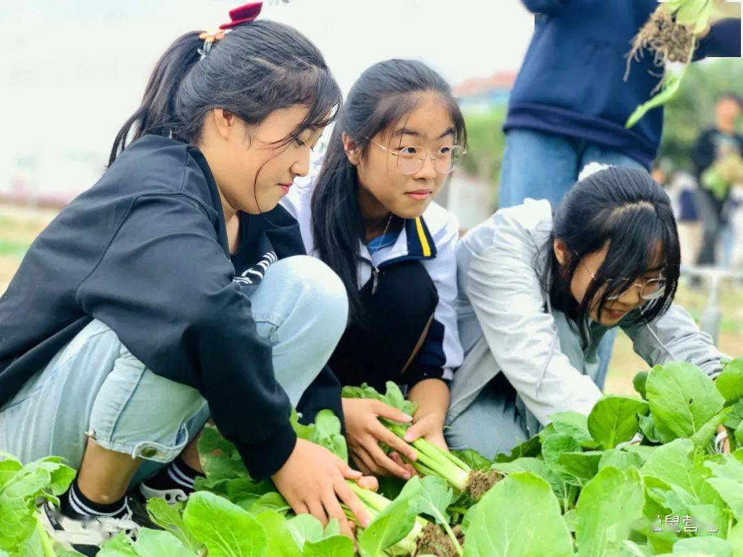 亲近花都青春励志漳浦赤土中学八年级东南花都研学实践活动