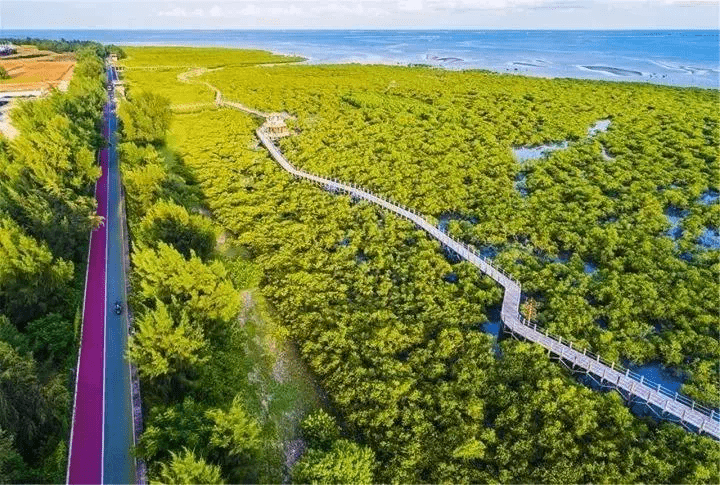 北海即将大爆发:乘风破浪,大势已成。_涠洲岛