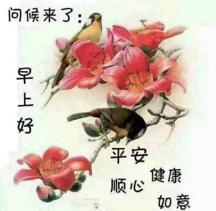 问候老同学的早上好表情包,有心天天在一起,就是时间不允许!