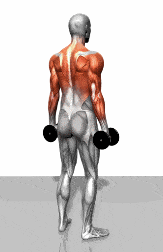 e4a6faf387f344809df0bec3ec89e9b9.gif