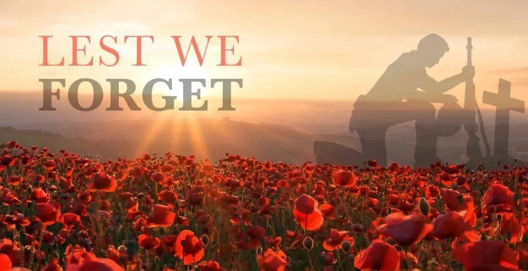 【枫叶国小常识】Remembrance Day 国殇纪念日