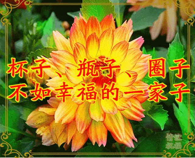 12月第一天,想你,念你,祝福你,暖暖的问候送给你!