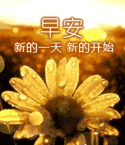(部份表情选自:gif动态  编缉:小微) 微民技巧:如何将图片添加至表情