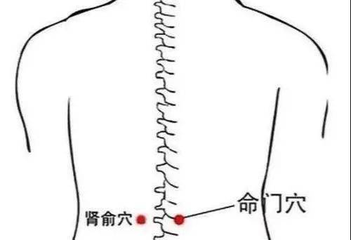 做法:将两手掌对搓至手心发热后,分别放置于命门穴,肾俞穴处,上下按摩