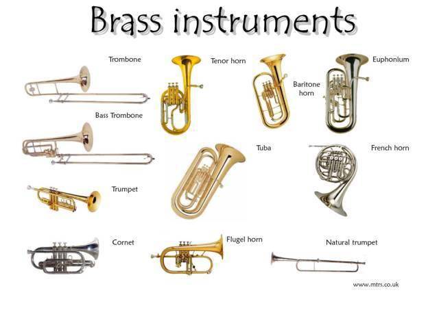有 小号(trumpet,圆号(horn,长号(trombone)和大号(tuba)等