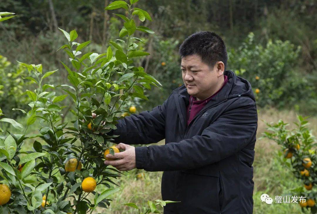 勒个璧山人受表彰!_刘辅